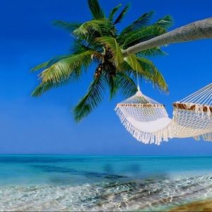 Meet your Posher, Deana